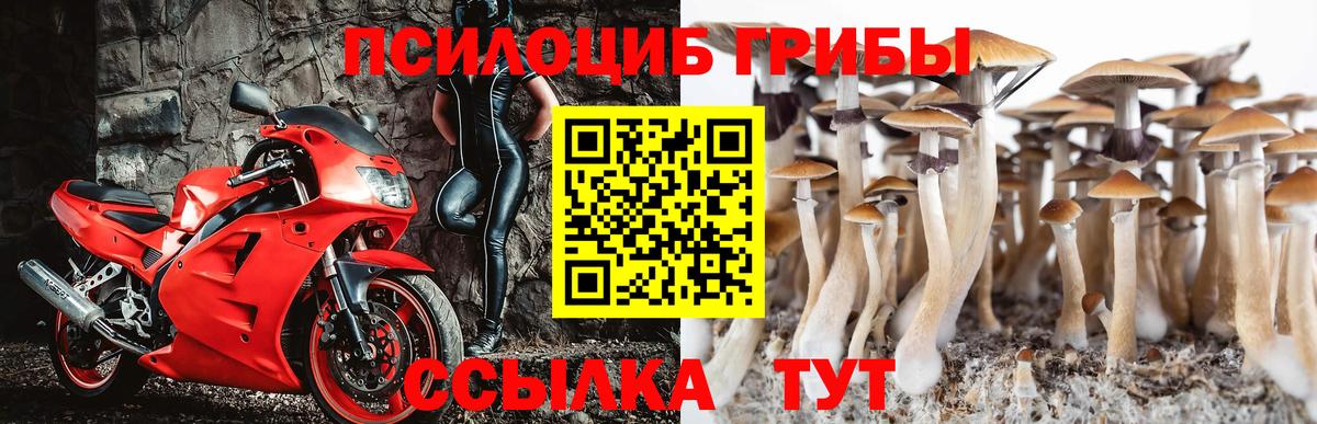 Галлюциногенные грибы Magic Shrooms  Псилоцибиновые грибы ЛСД  Вход с VPN  Жуковский 